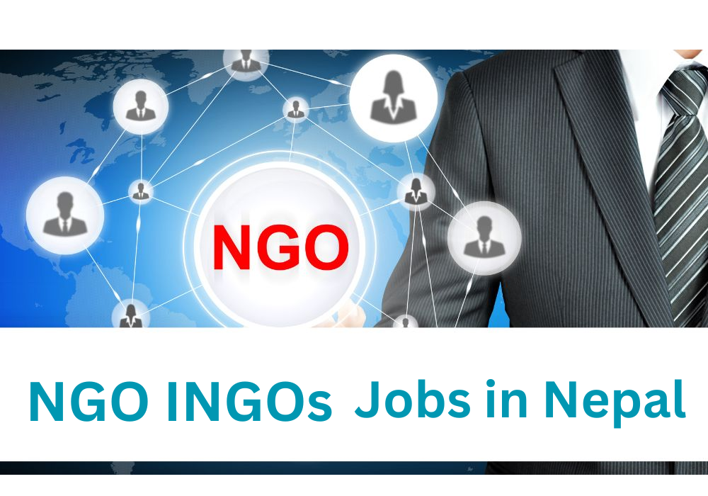 NGO/ INGO Jobs 