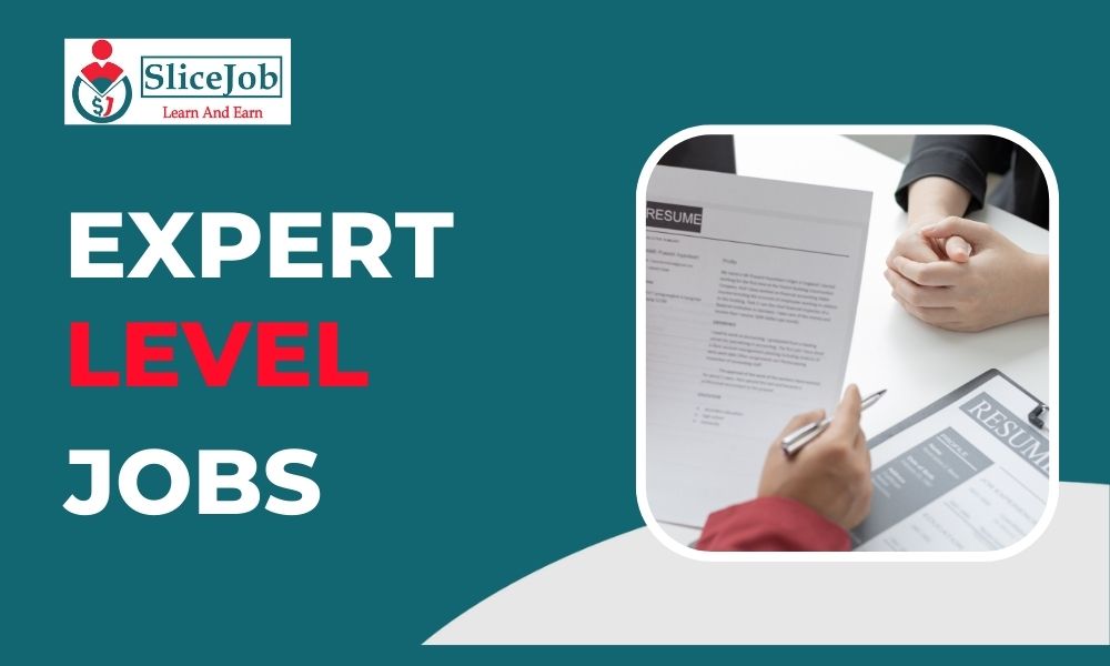 Expert Level Jobs