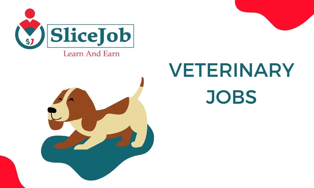 Veterinary Jobs