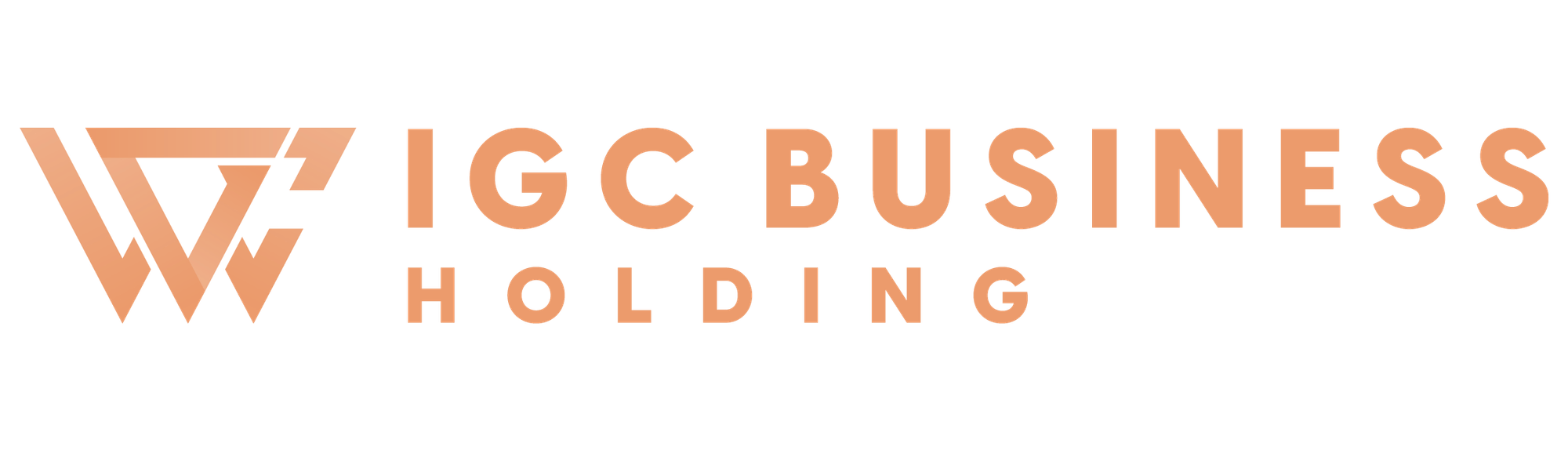 IGC Business Holding
