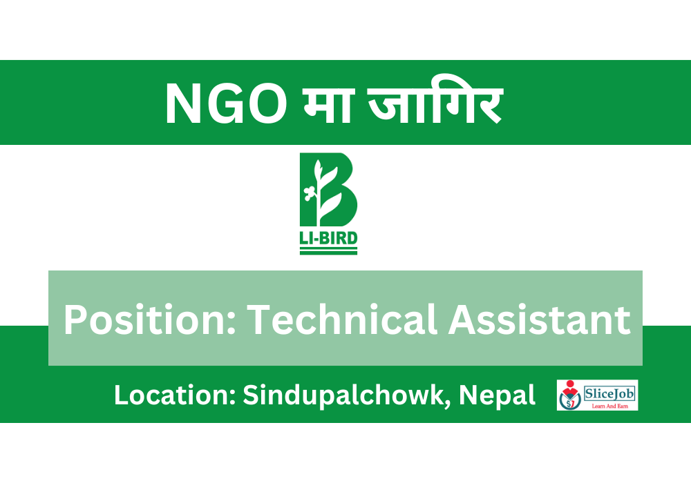 Technical Assistant Vacancy in (LIBIRD) Slicejob